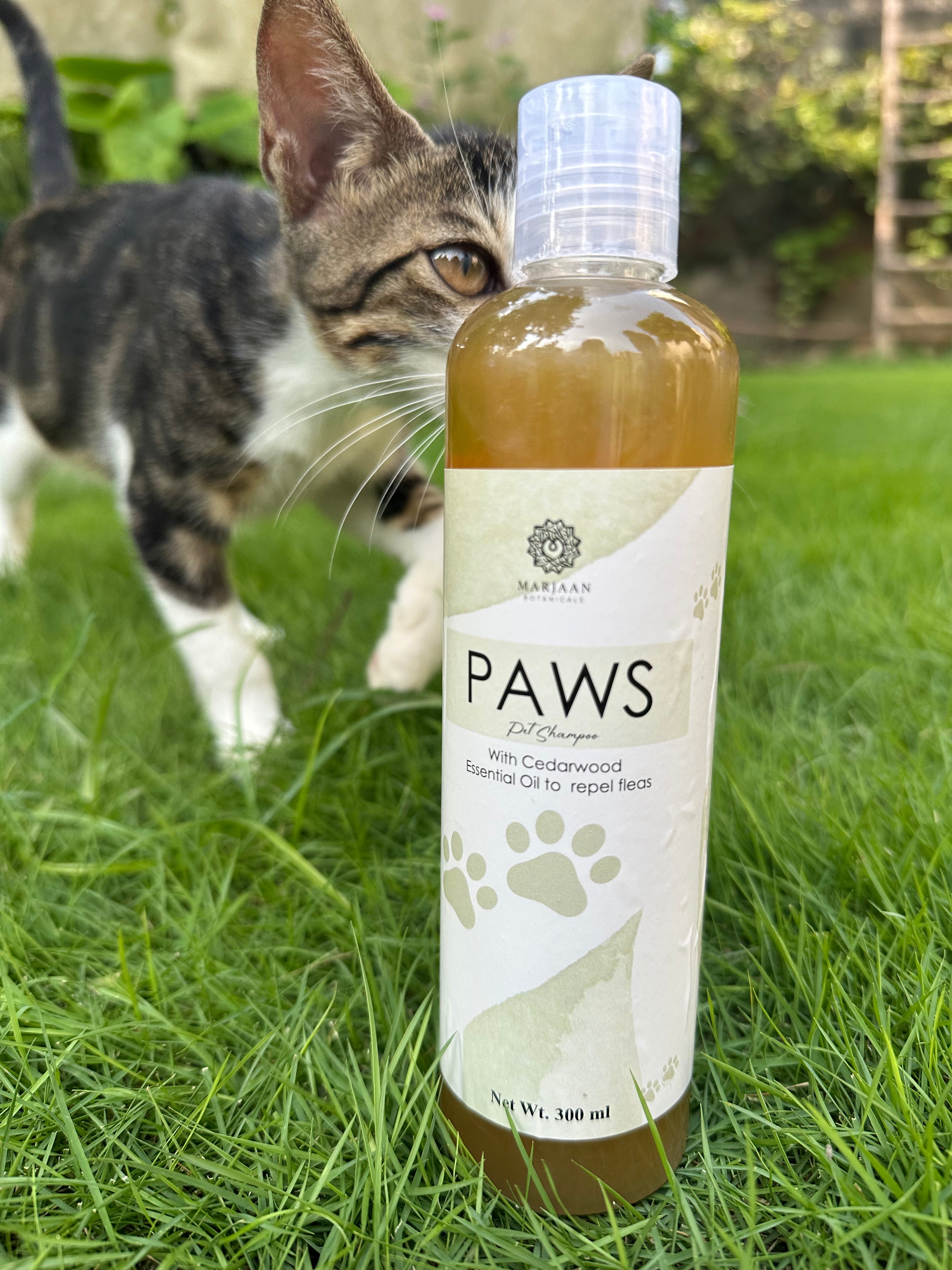PAWS( Pet Shampoo )